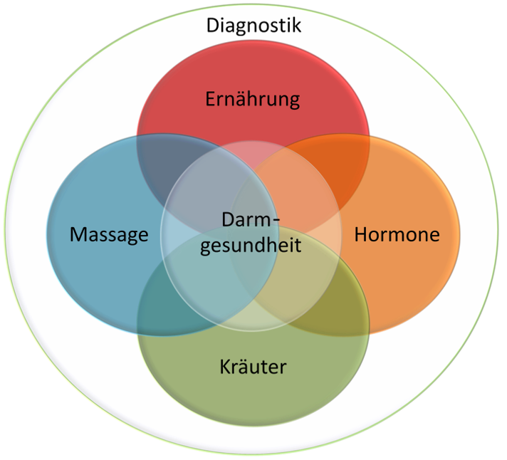 Diagnostik, therapiekonzept natur, isabelle zender